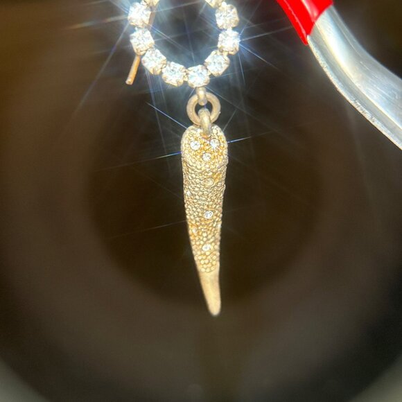 Circular Horn Earrings - Picture 3 of 5